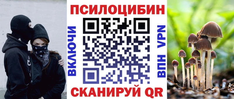 Купить где  Осинники  Псилоцибиновые грибы Magic Shrooms 